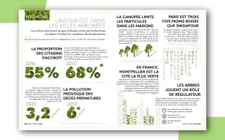 Affiche A3 villes arborées